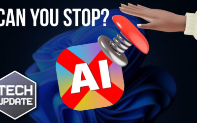 How would you stop AI in an emergency?